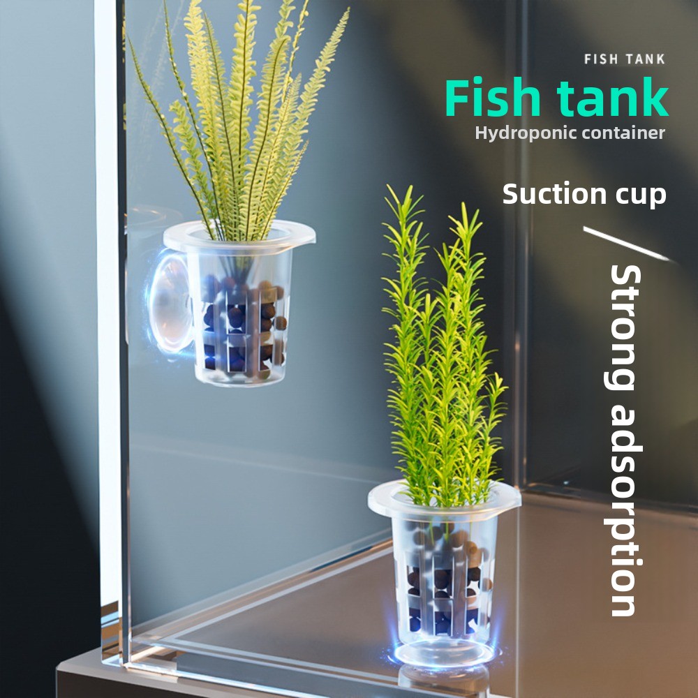 Aquarium Plant Growth - 10Pcs Transparent Plant Hydroponic Pot Plastic