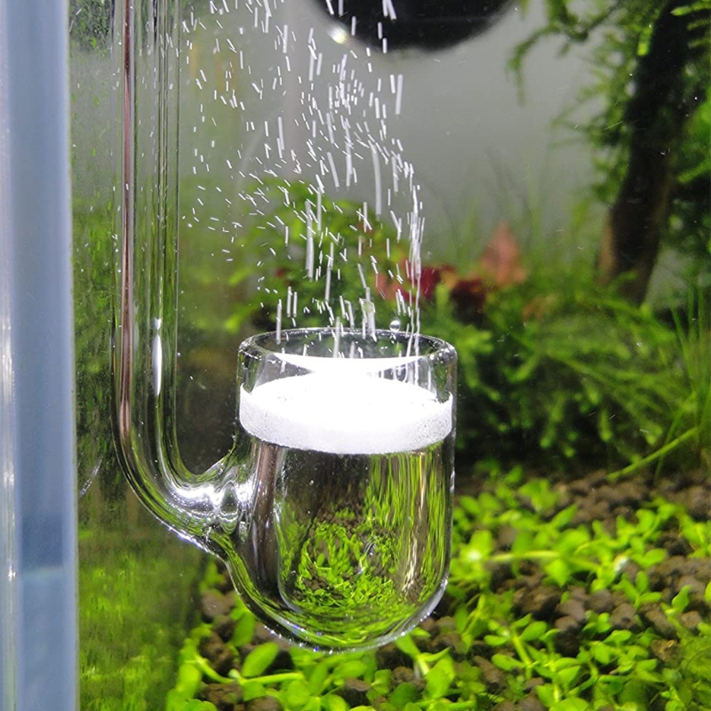 Aquarium Plant Order - D0AD Glass CO2 Diffuser for Aquarium,