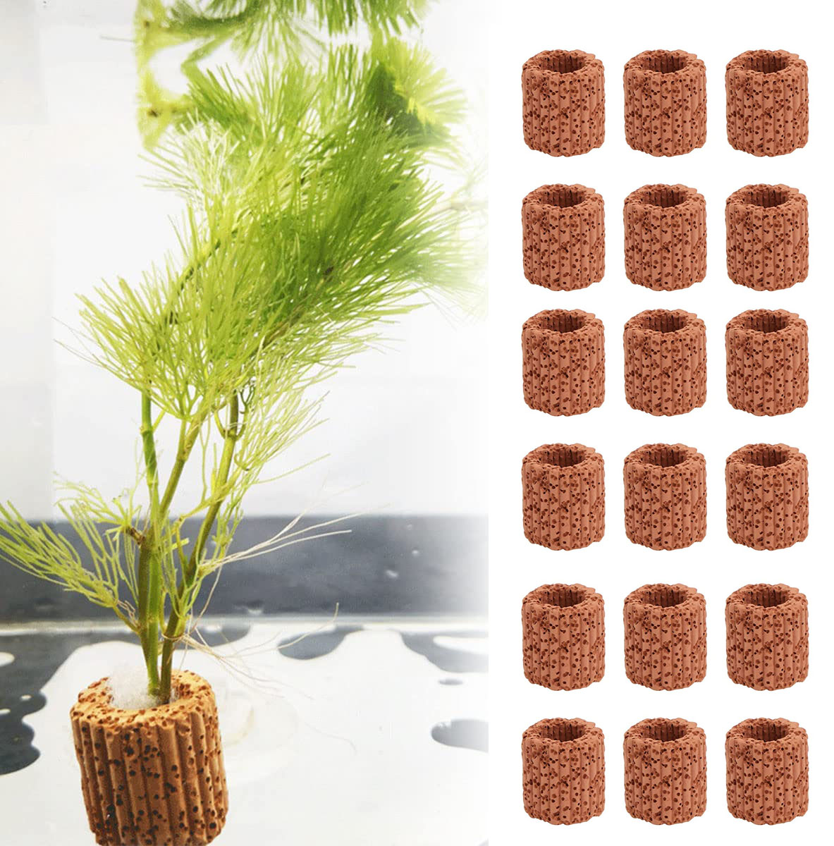 Aquarium Plant Growth - 10/20Pcs Aquatic Water Plant Fixed Ring