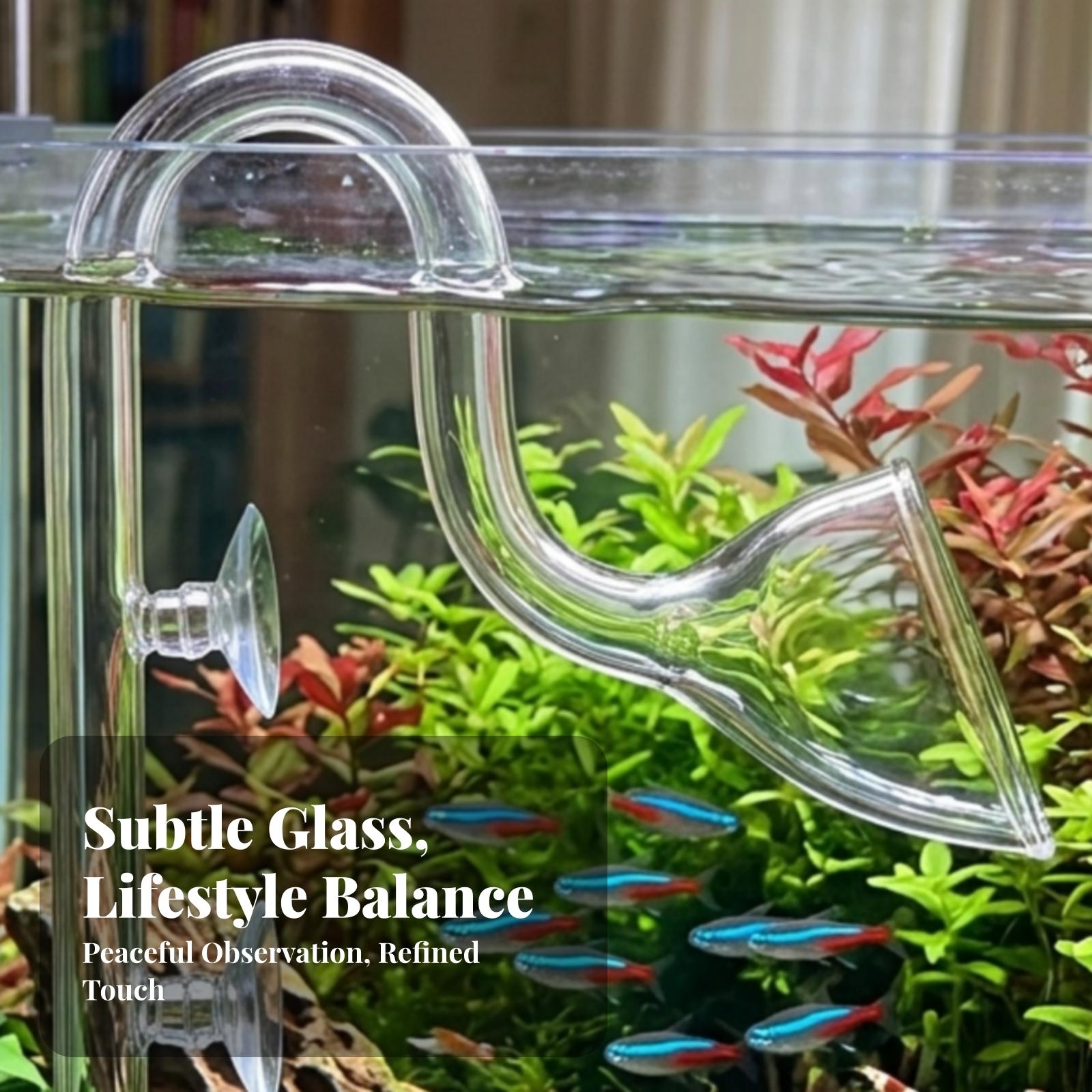 Aquarium Planted Tank - Aquarium Filter Inlet and Outlet Transparent