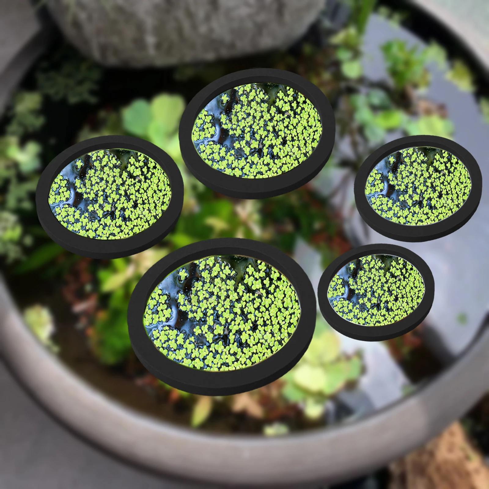 Aquarium Plant Order - 5Pcs EVA Fish Feeding Ring Aquarium