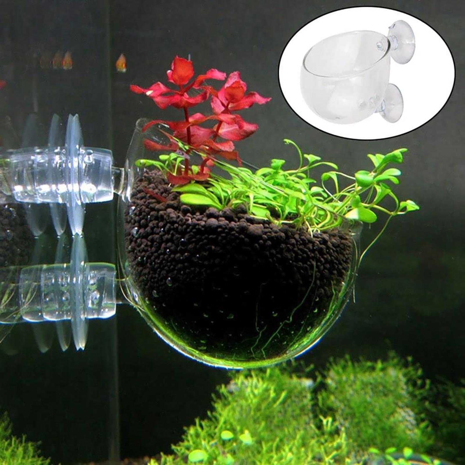 Aquarium Plant Growth - Aquatic Plant Pot Clear Acrylic Aquarium