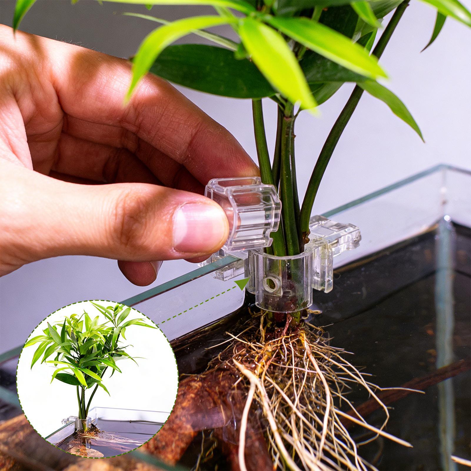 Aquarium Plant Growth - 6pcs Aquarium Plant Holders Clear Planting