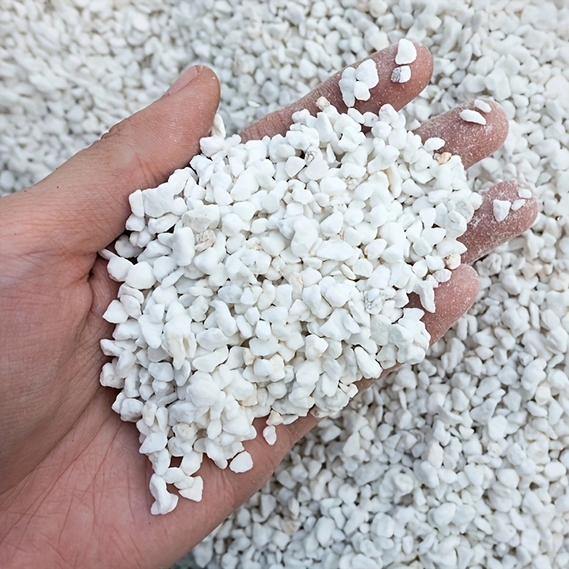 Tissue Culture Plant - 1 Pack of 3-6mm Horticultural Perlite