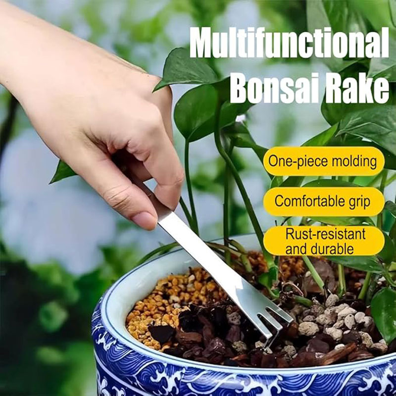 Stainless Steel Root Rake Hand - Tissue Culture Plant 评论和价格