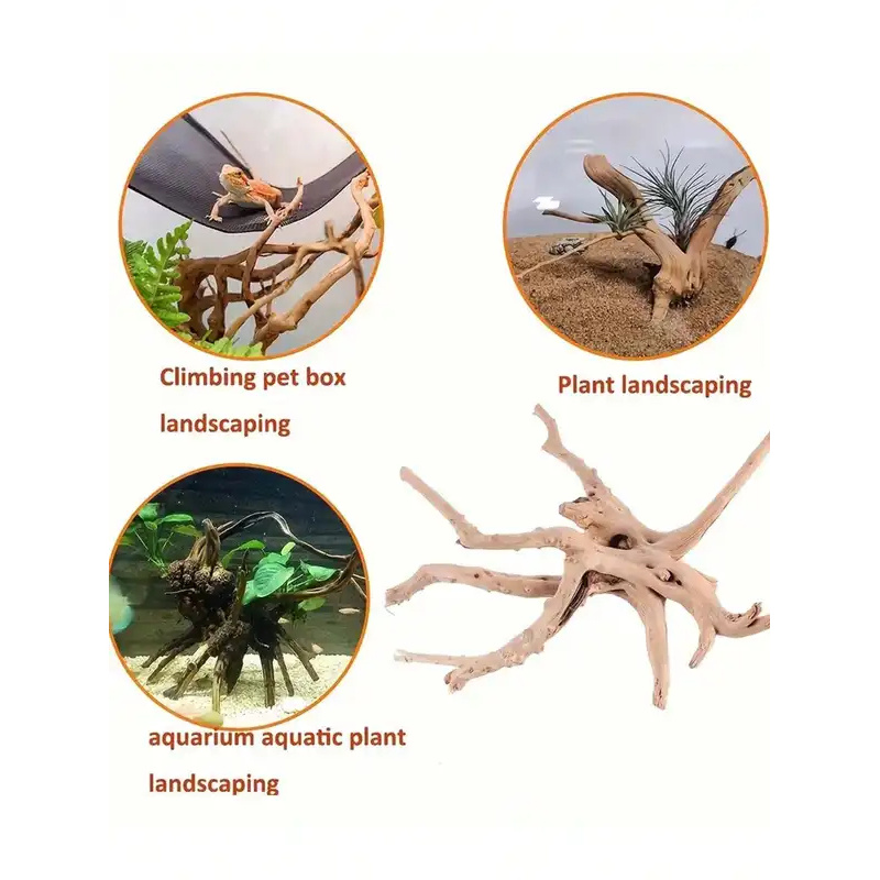 Natural Driftwood for Aquarium - Aquarium Plant Order 评论和价格