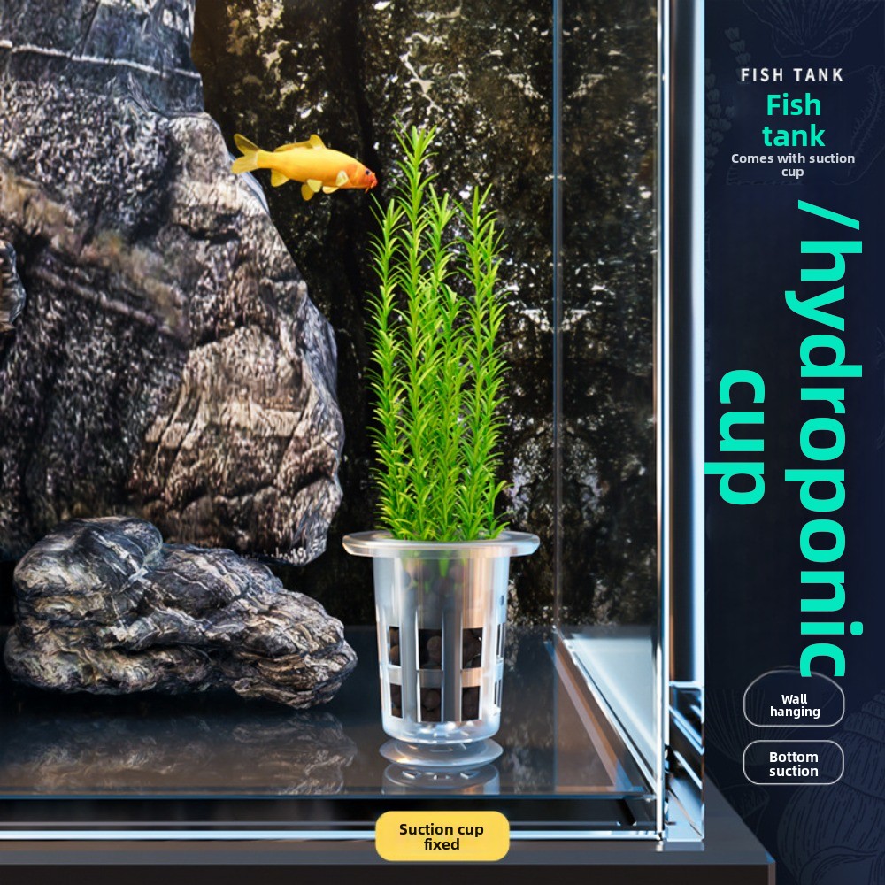 10Pcs Transparent Plant Hydrop - Aquarium Plant Growth 评论和价格