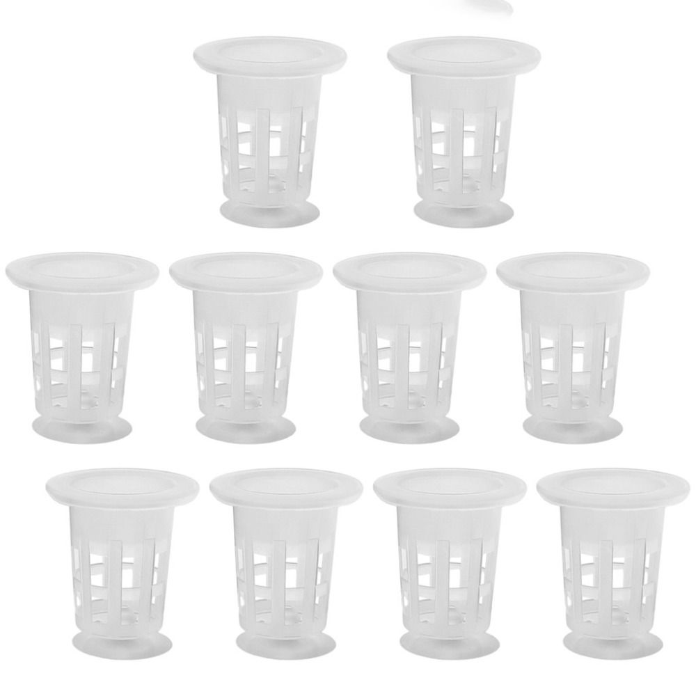10Pcs Transparent Plant Hydrop - Aquarium Plant Growth 评论和价格