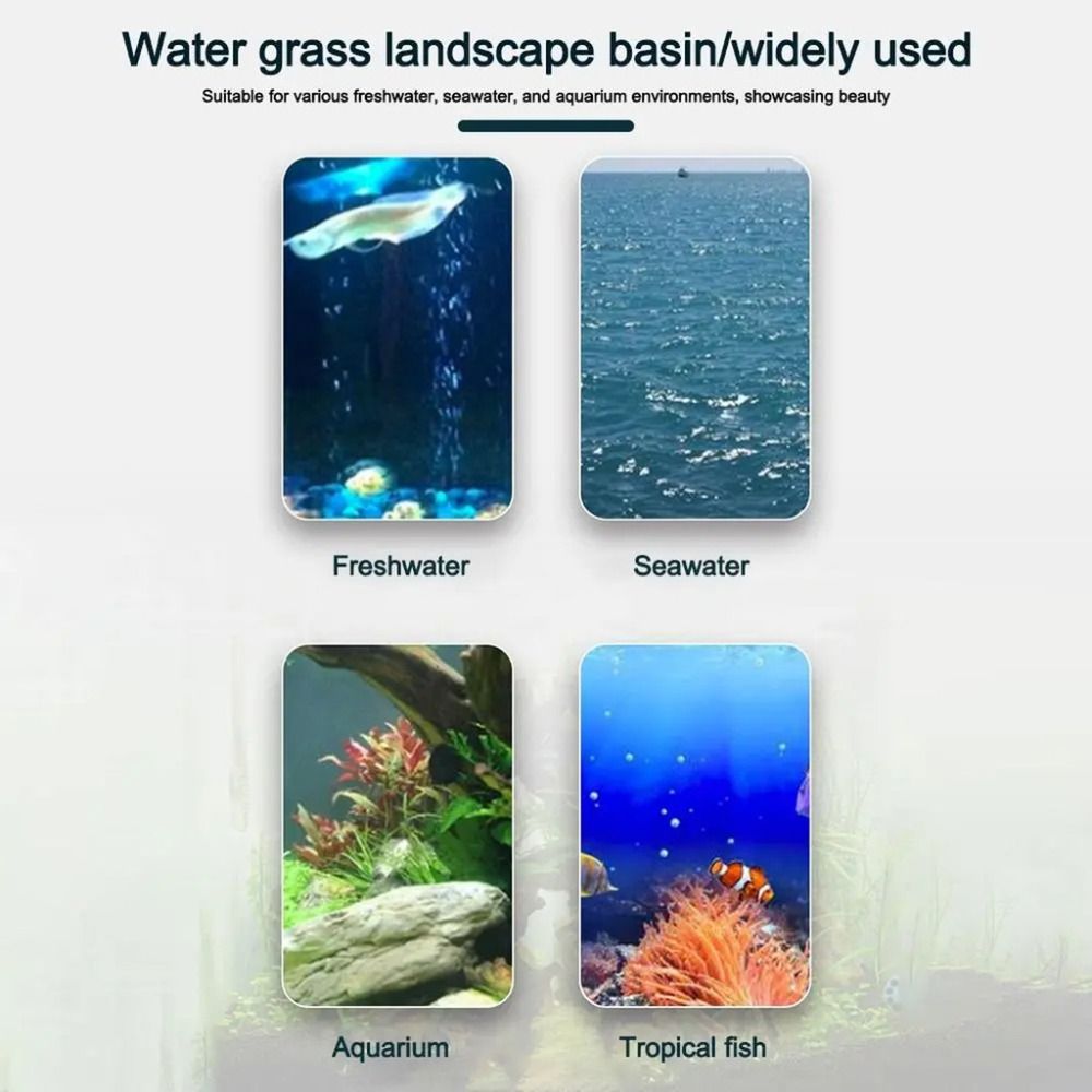 10Pcs Transparent Plant Hydrop - Aquarium Plant Growth 评论和价格