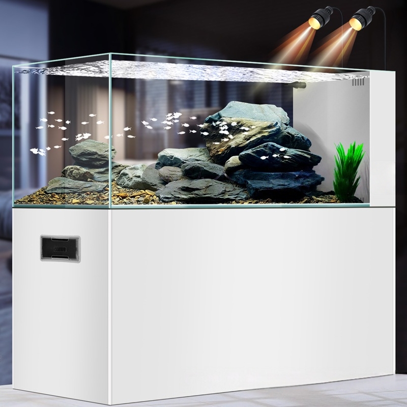 2026 Minimalist Rimless Aquari - Planted Aquarium Aquascape 评论和价格