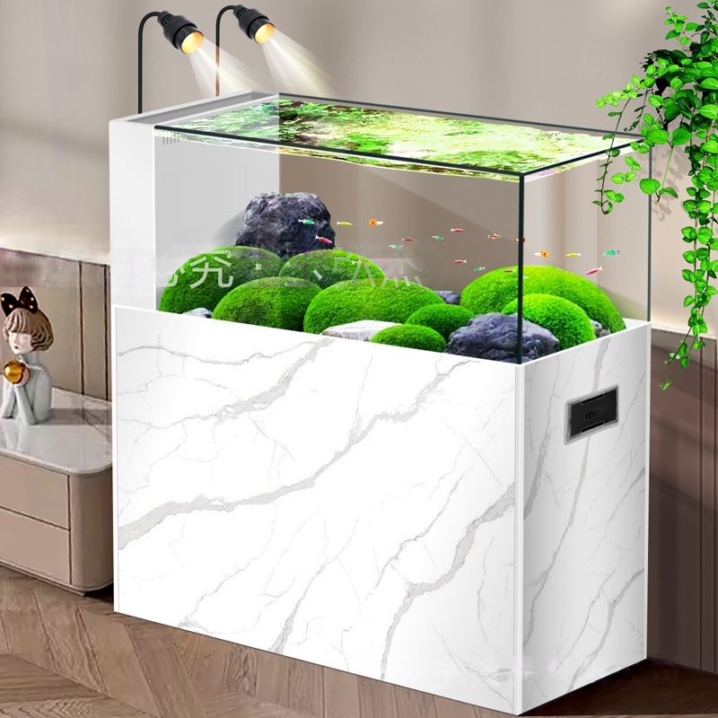 2026 Minimalist Rimless Aquari - Planted Aquarium Aquascape 评论和价格