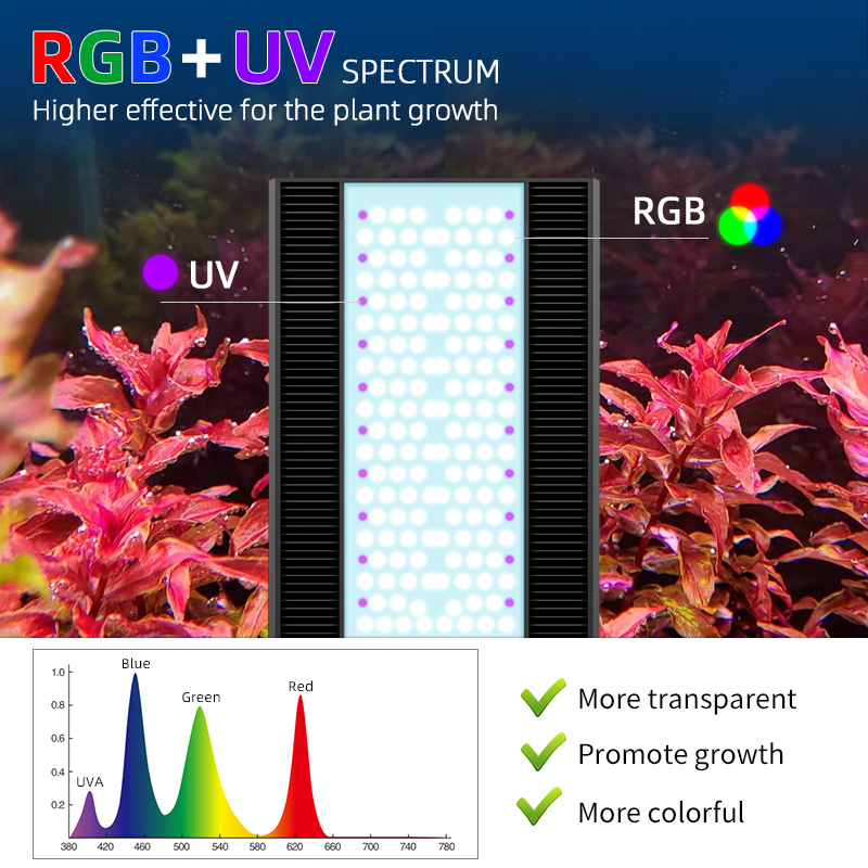 Week Aqua A430Pro LED Aquarium - Planted Aquarium Aquascape 评论和价格