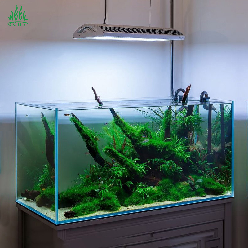 Week Aqua A430Pro LED Aquarium - Planted Aquarium Aquascape 评论和价格