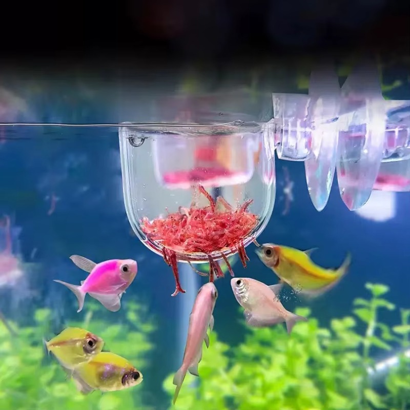 Factory Aquarium Decoration Ha - Aquarium Plant Factory 评论和价格