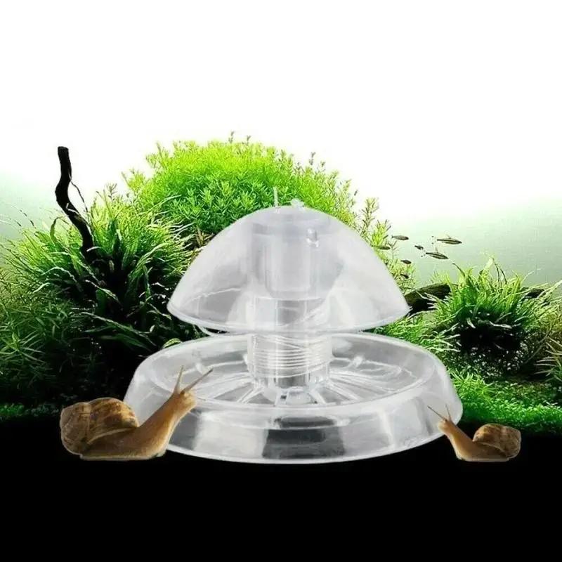 2026 New 6/8CM Clear Plastic S - Aquarium Planted Tank 评论和价格