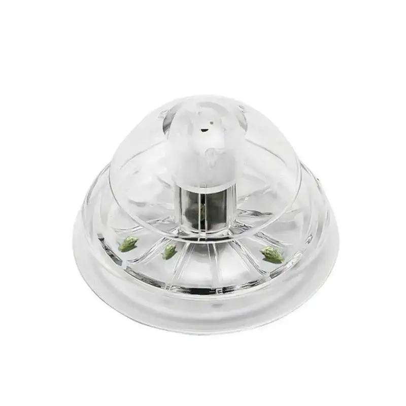 2026 New 6/8CM Clear Plastic S - Aquarium Planted Tank 评论和价格