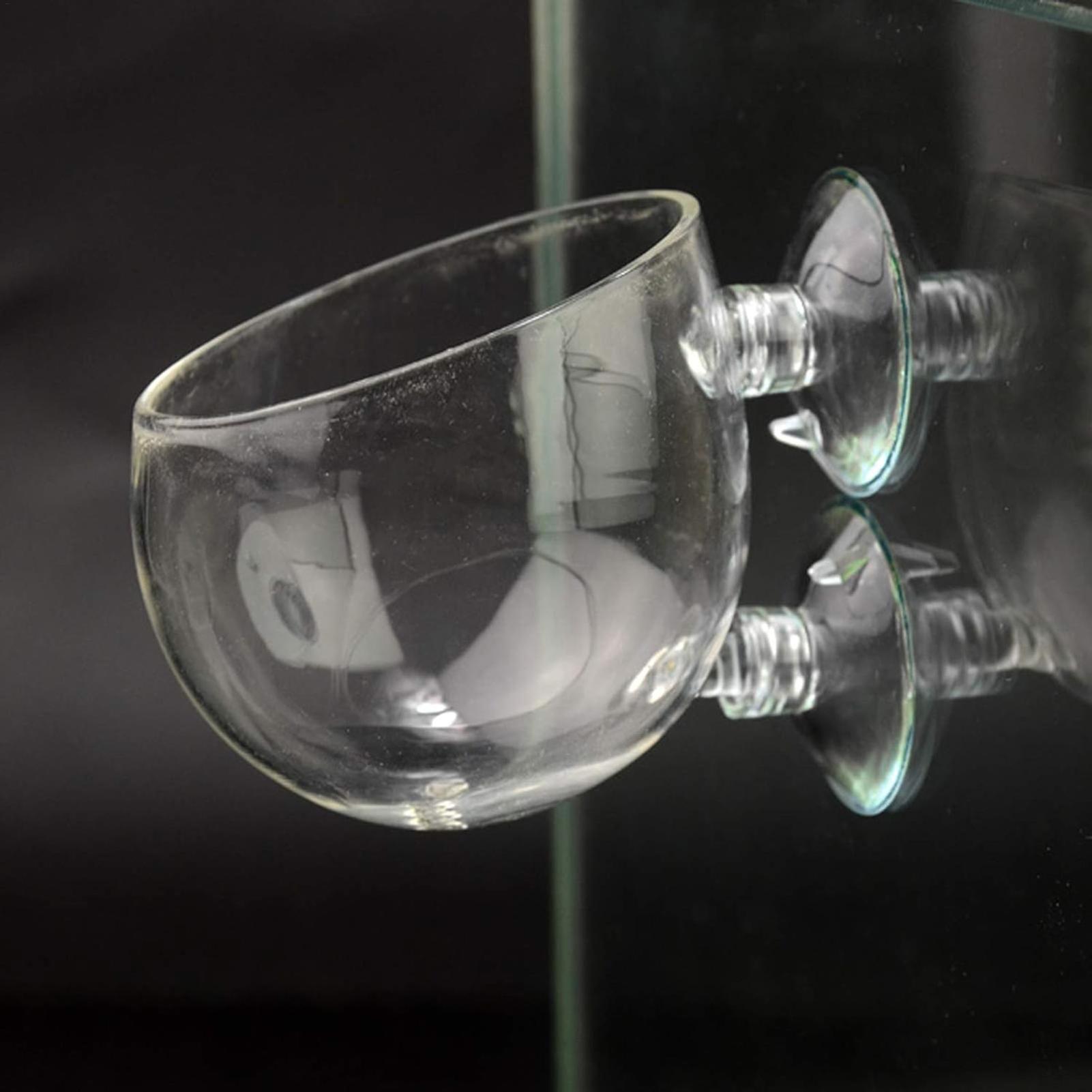 Aquarium Plant Holder Glass Aq - Aquarium Plant Growth 评论和价格