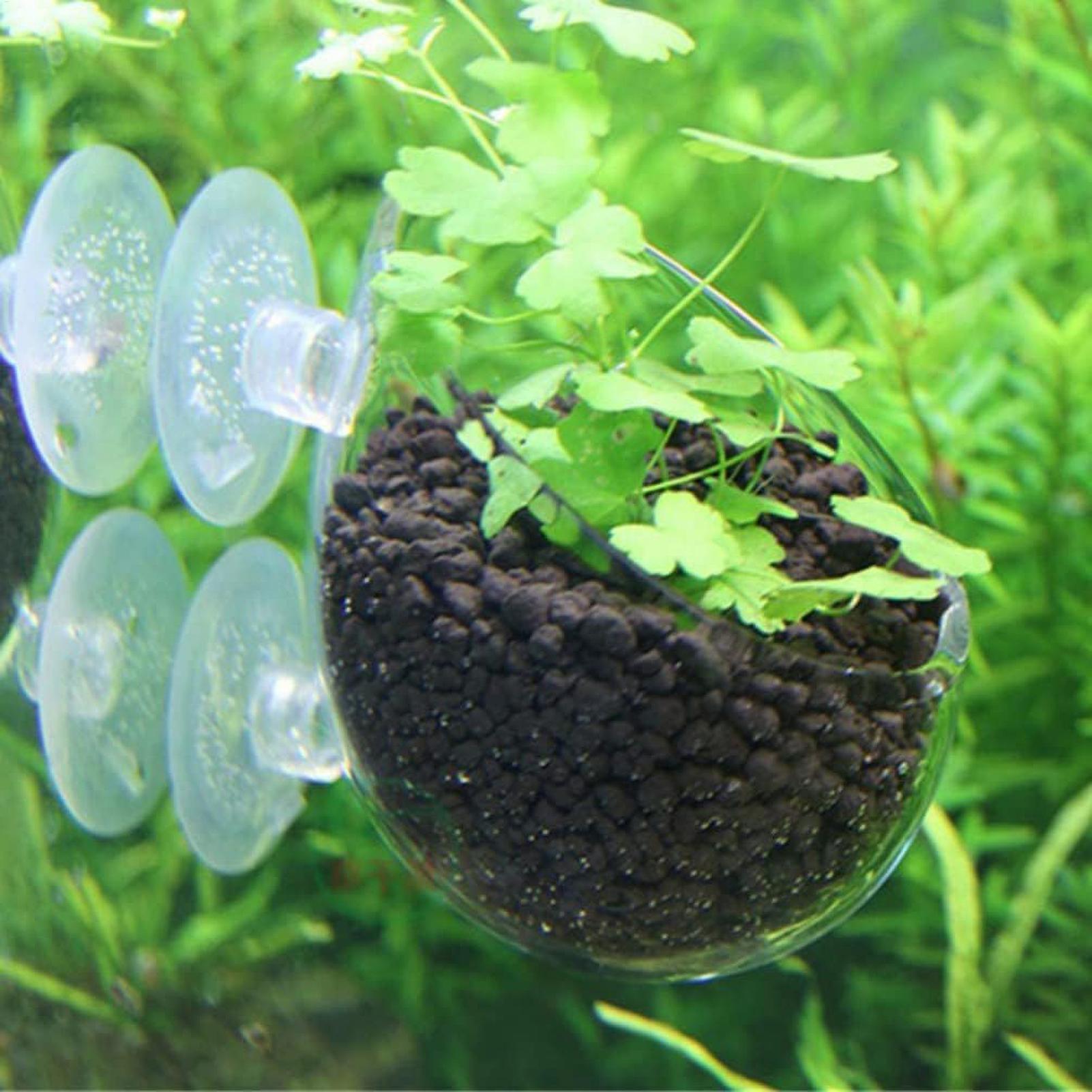 Aquarium Plant Holder Glass Aq - Aquarium Plant Growth 评论和价格