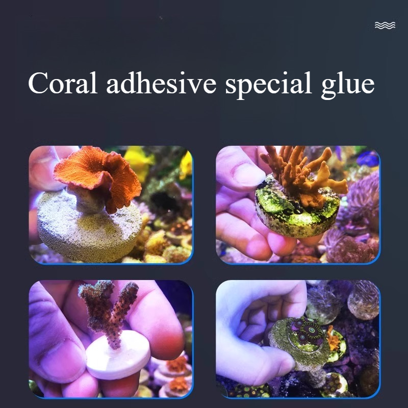 SPS LPS Coral Reef Frags Plug  - Aquarium Plant Glue Gel 评论和价格