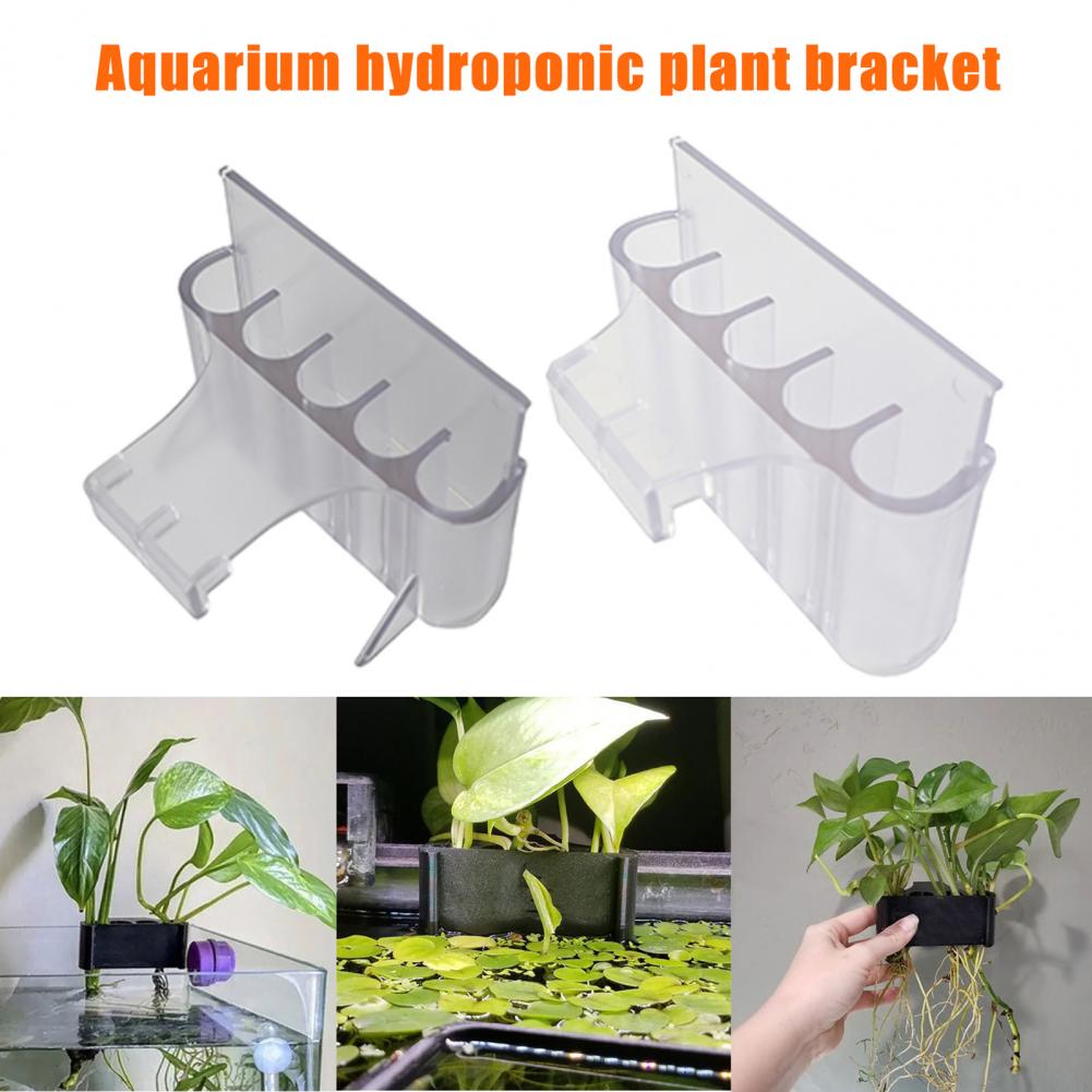 4.5/6.5cm Aquarium Plant Holde - Aquarium Planted Tank 评论和价格