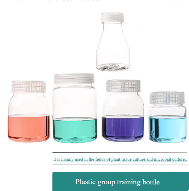 10pcs Plastic tissue culture b - Tissue Culture Plant 评论和价格