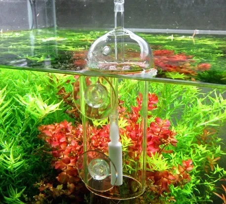 VIV Do Device Aquarium Cylinde - Aquarium Plant Order 评论和价格