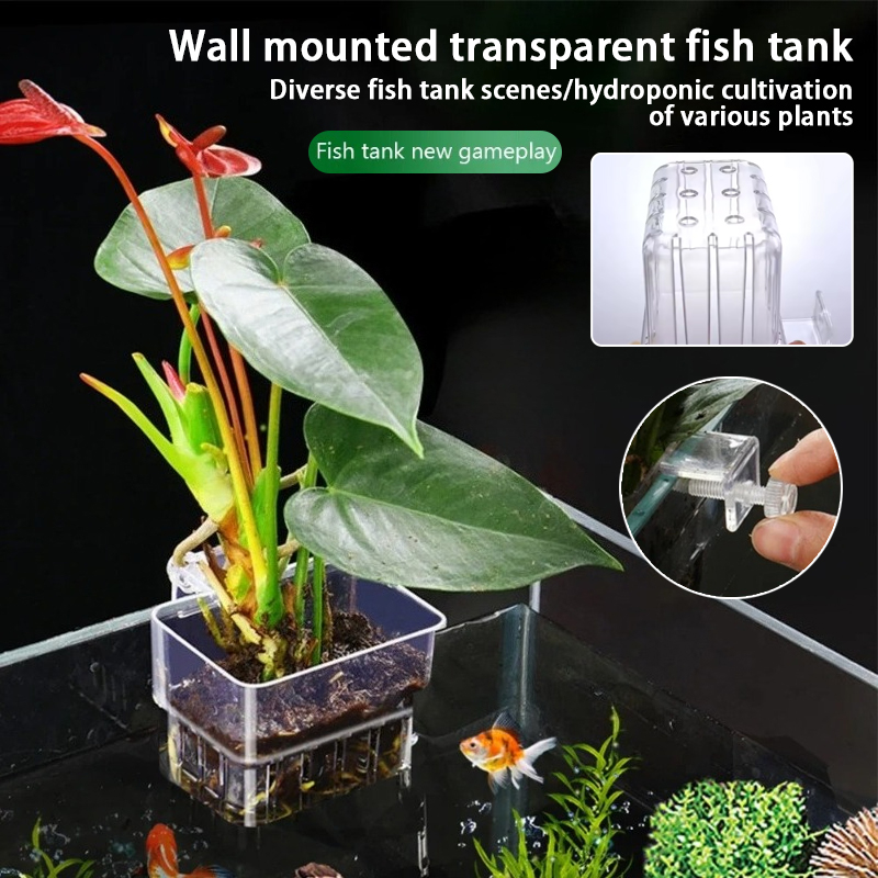 Aquarium Hanging Planter Cups  - Aquarium Plant Growth 评论和价格