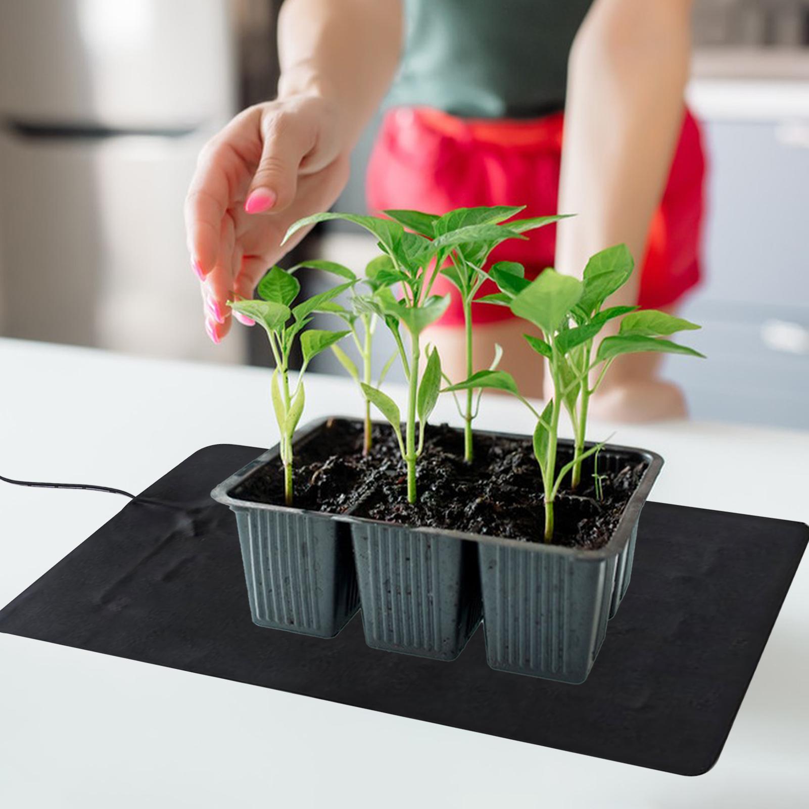 8.5W USB Seedling Heat Mats 3  - Tissue Culture Plant 评论和价格