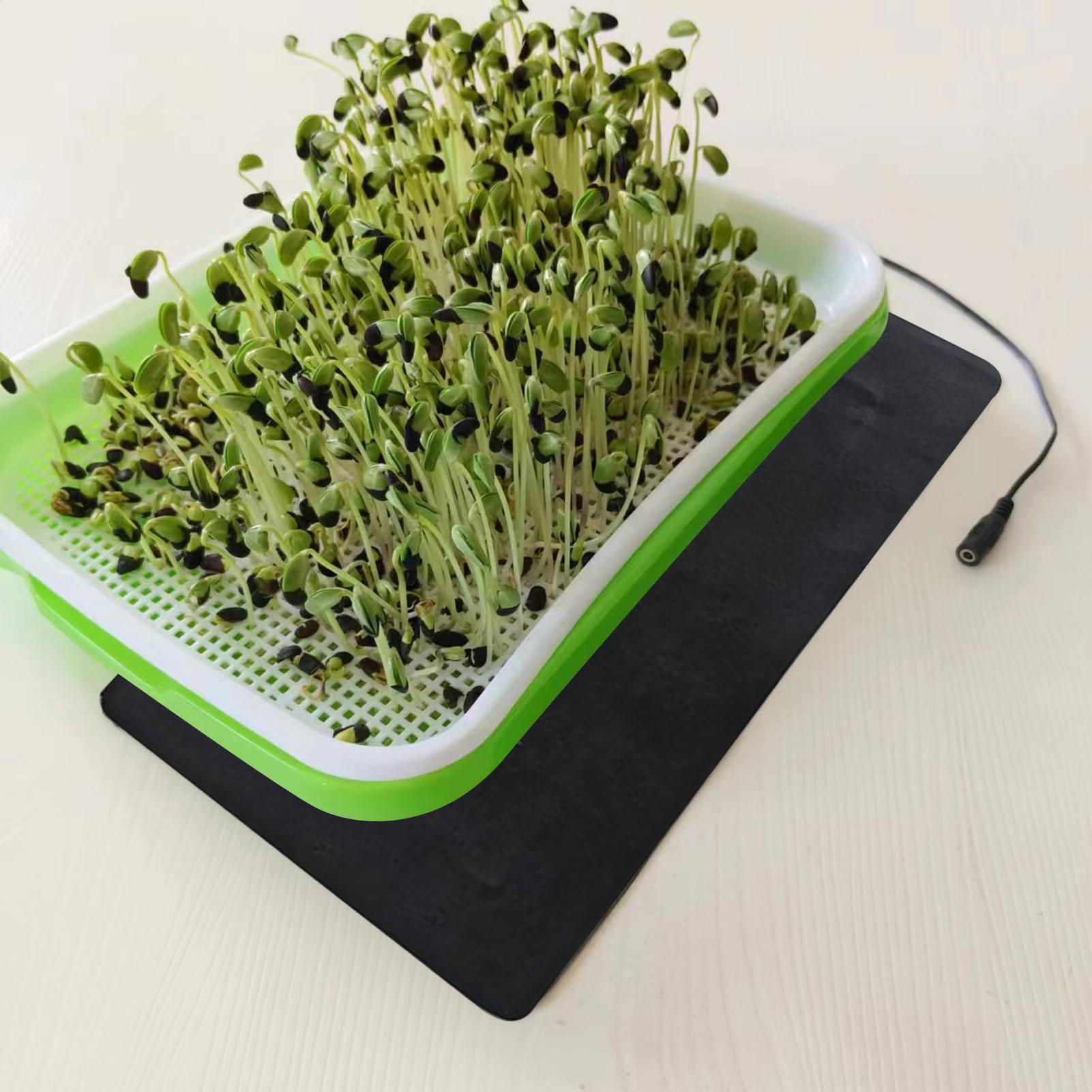 8.5W USB Seedling Heat Mats 3  - Tissue Culture Plant 评论和价格
