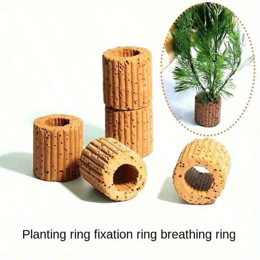 High   Quality Aquarium Plant  - Planted Aquarium Aquascape 评论和价格