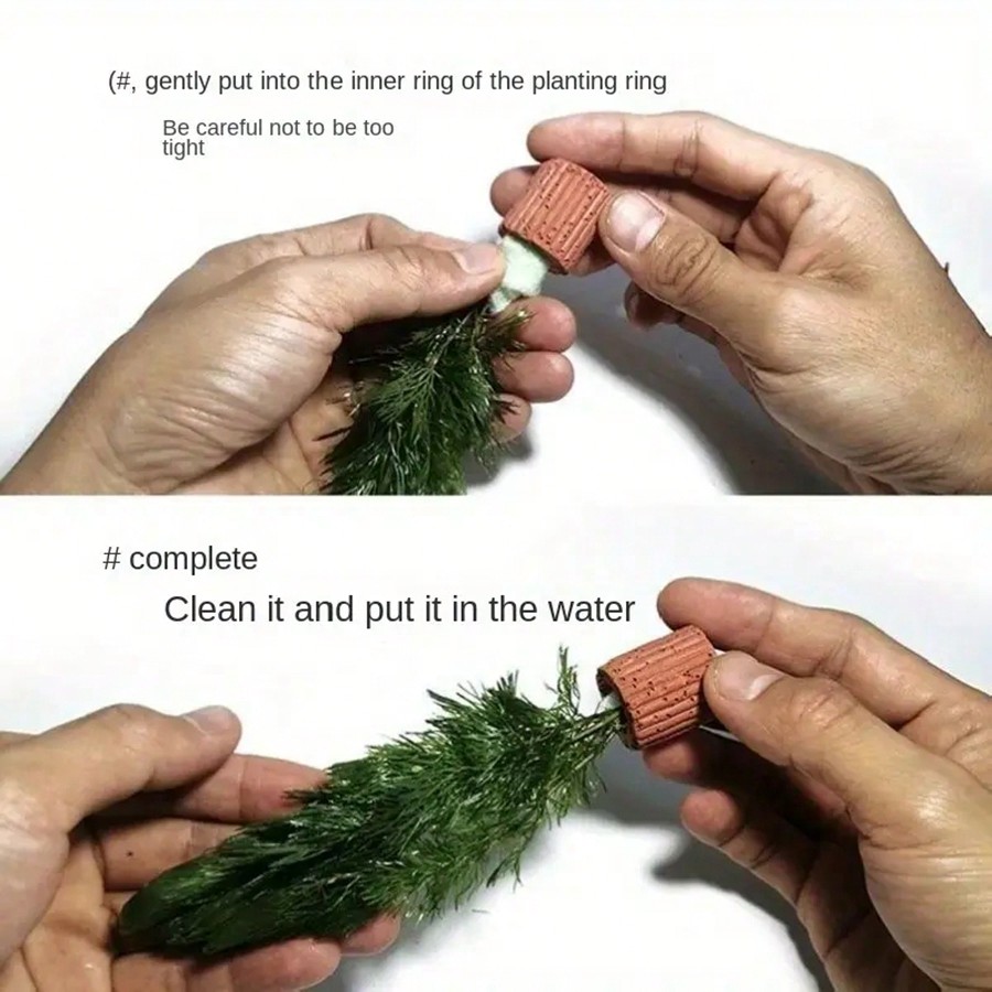 High   Quality Aquarium Plant  - Planted Aquarium Aquascape 评论和价格