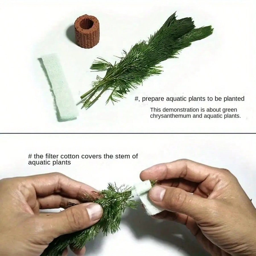 High   Quality Aquarium Plant  - Planted Aquarium Aquascape 评论和价格