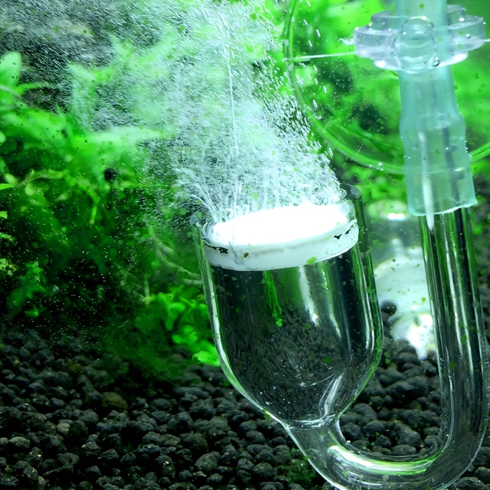 Aquarium Glass CO2 Atomizer Di - Aquarium Plant Order 评论和价格