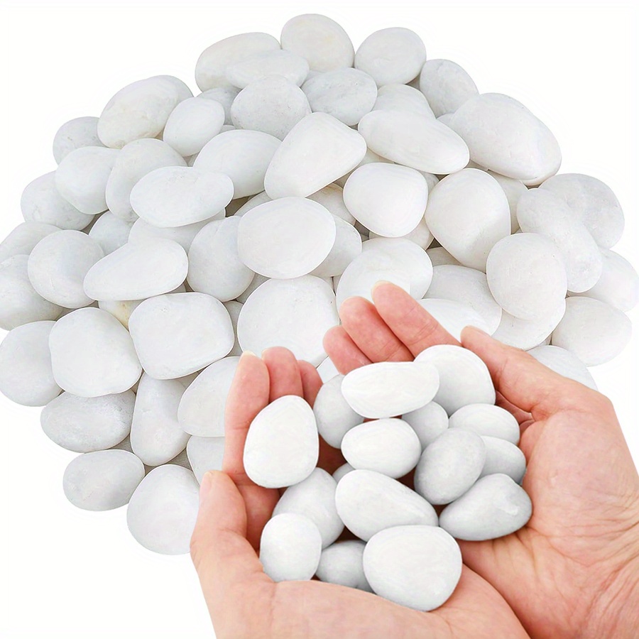 200/400g White High Polished N - Aquarium Planted Tank 评论和价格