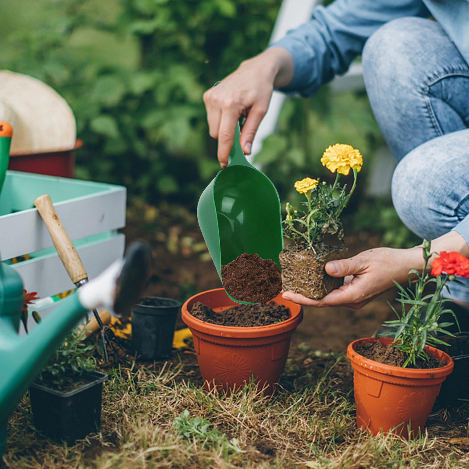 Gardening Shovel Soil Scoops L - Tissue Culture Plant 评论和价格