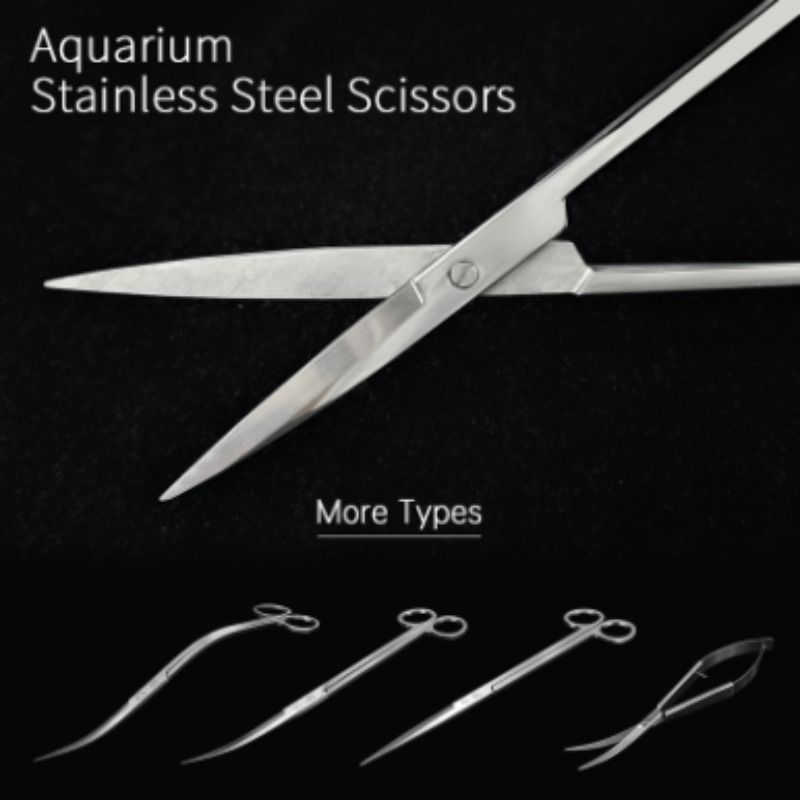 Week Aqua Stainless Steel Aqua - Aquarium Plant Order 评论和价格