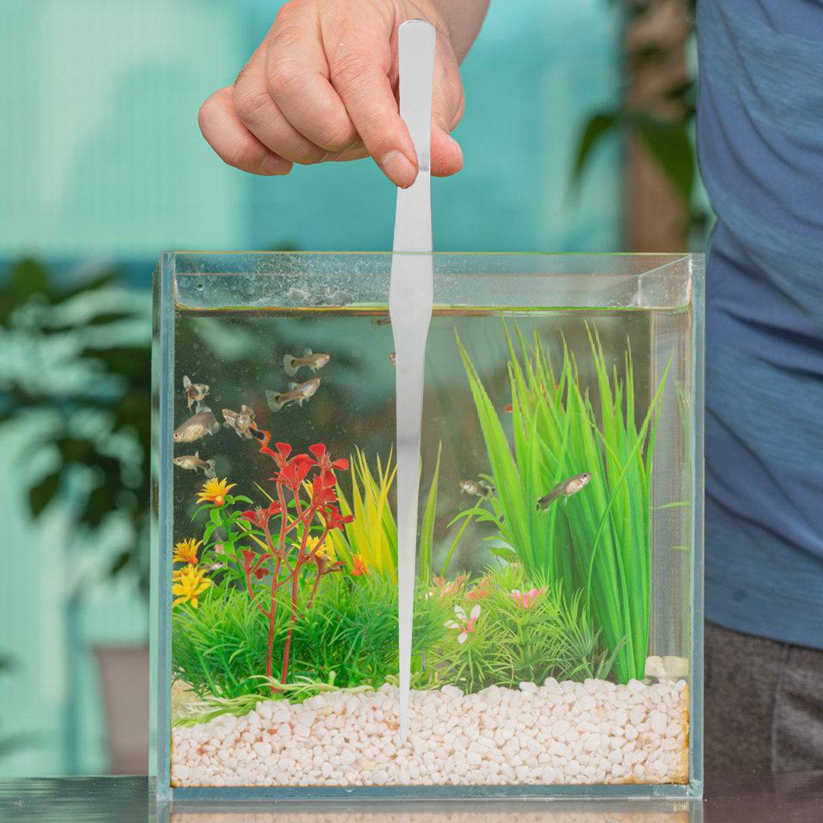 Water Plant Tweezer Stainless  - Planted Aquarium With Gravel 评论和价格