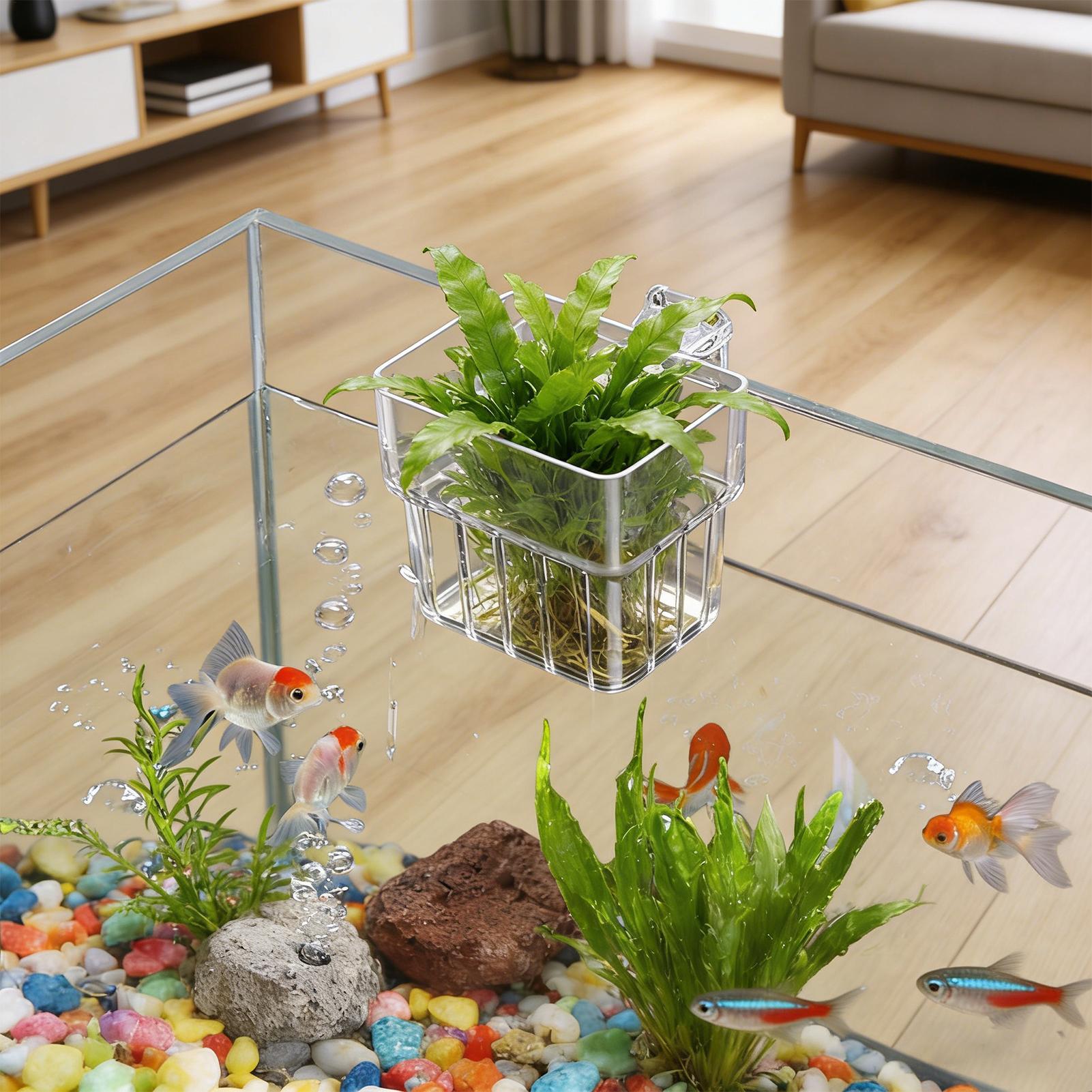 Transparent Hangable Aquarium  - Aquarium Plant Growth 评论和价格