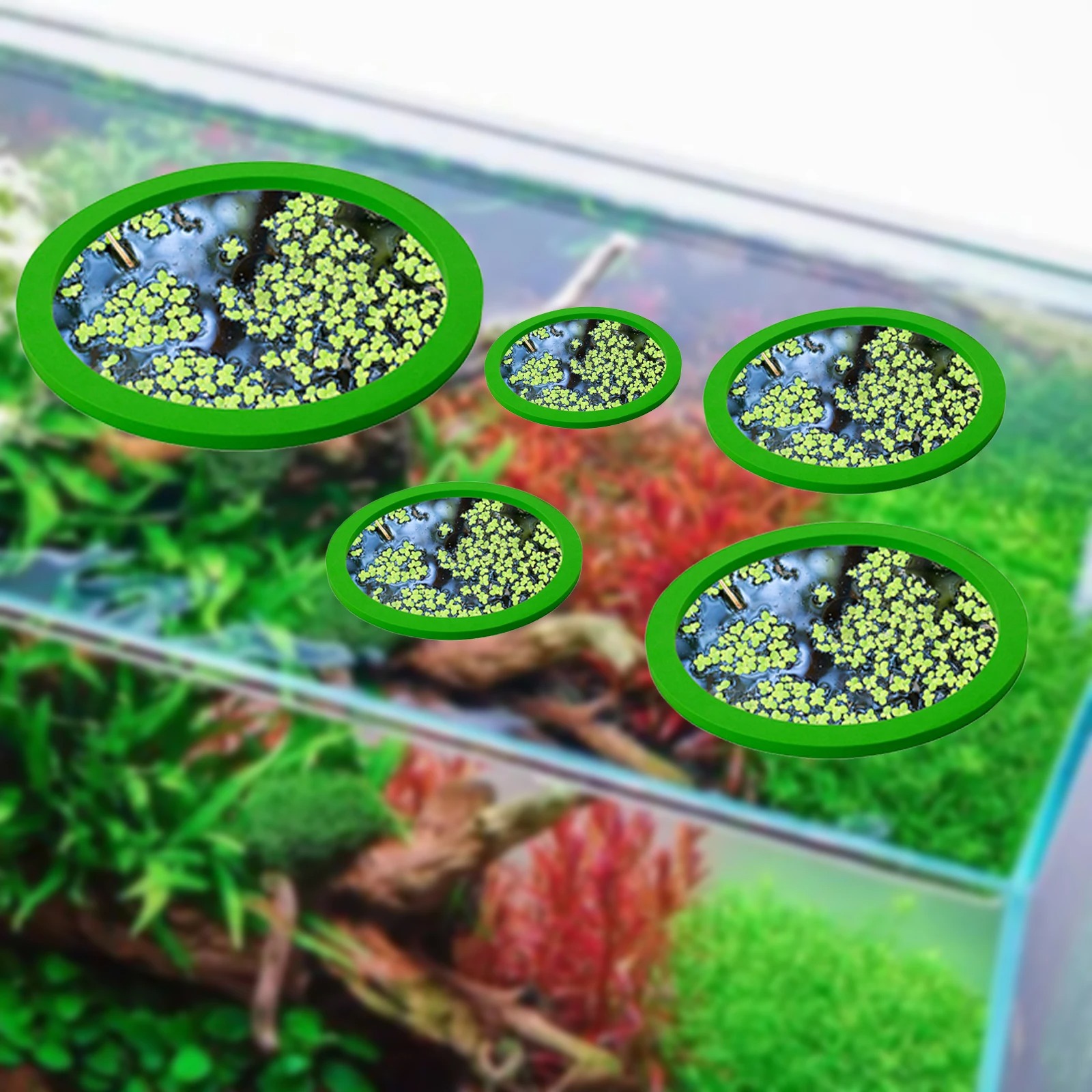 5Pcs EVA Fish Feeding Ring Aqu - Aquarium Plant Order 评论和价格