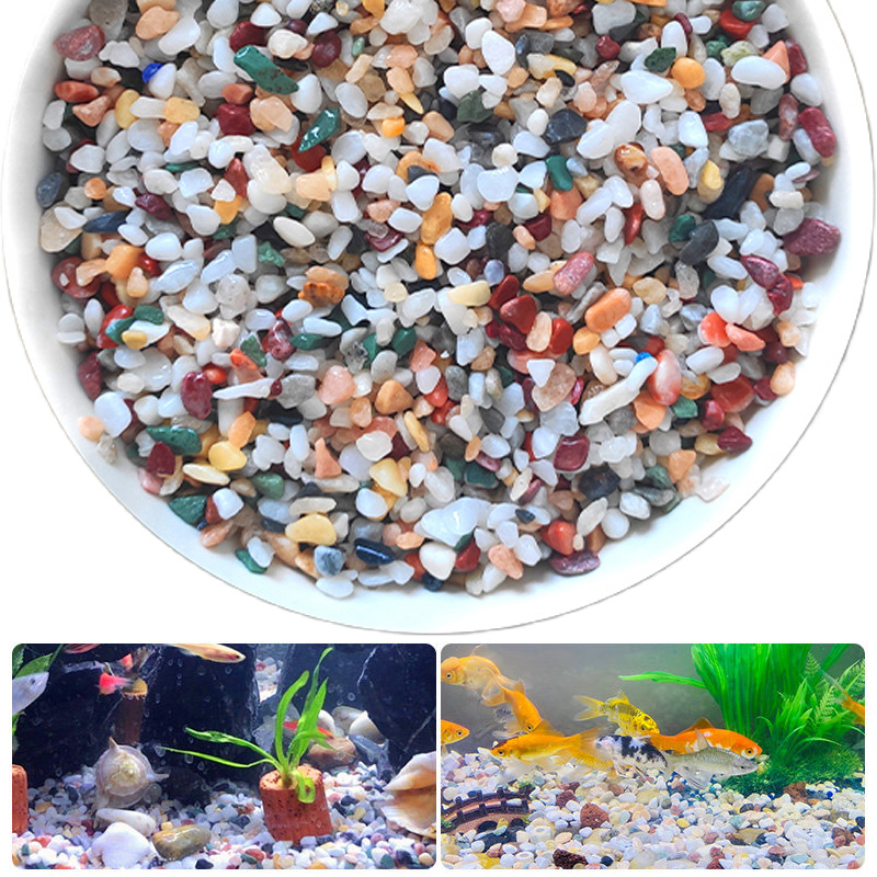 Natural Gravel Stone 200~1000g - Planted Aquarium With Gravel 评论和价格