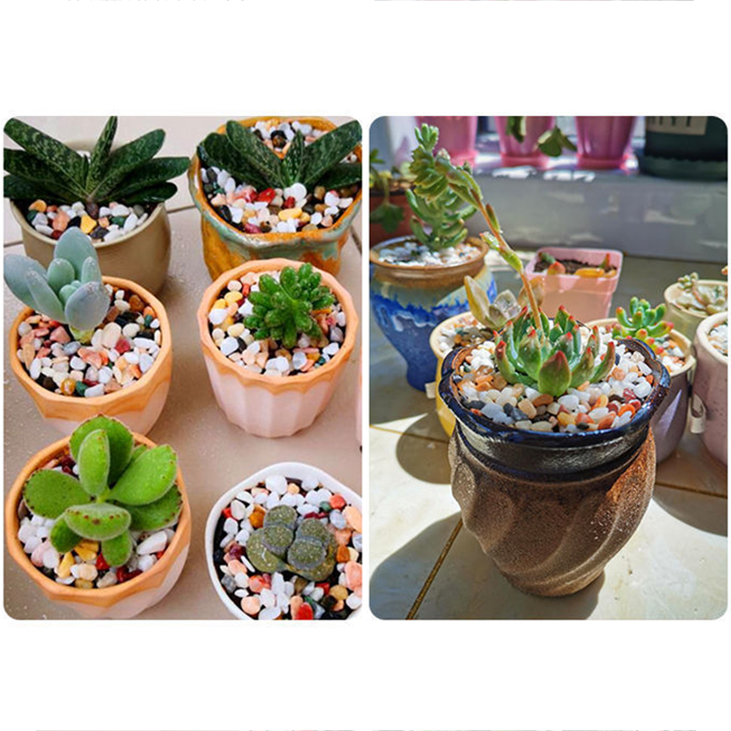 Natural Gravel Stone 200~1000g - Planted Aquarium With Gravel 评论和价格