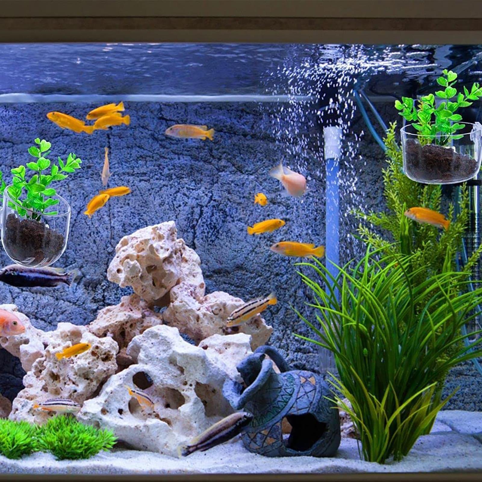 Aquatic Plant Pot Clear Acryli - Aquarium Plant Growth 评论和价格