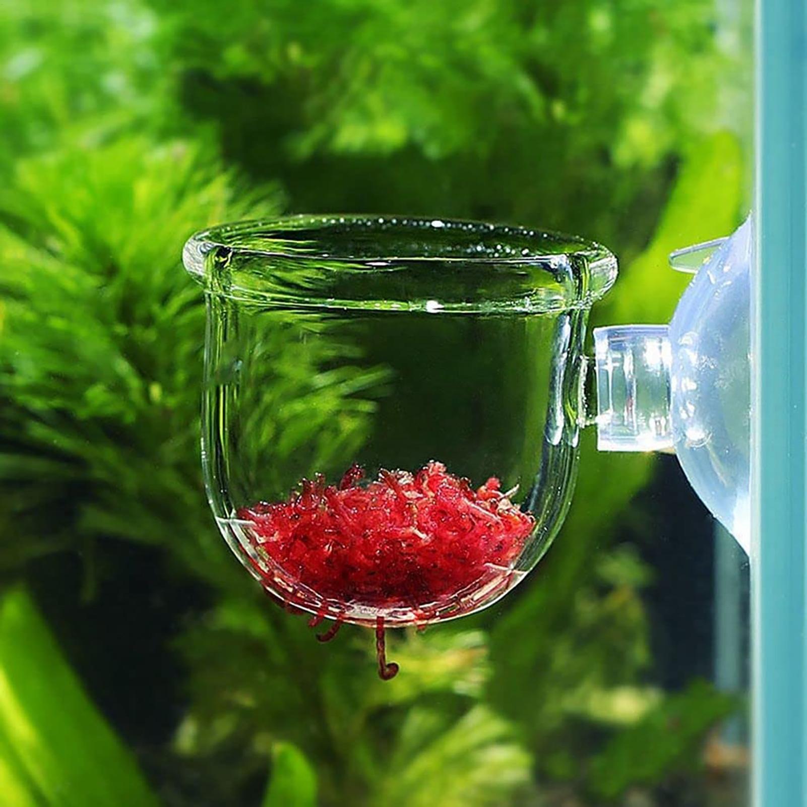 Aquatic Plant Pot Clear Acryli - Aquarium Plant Growth 评论和价格