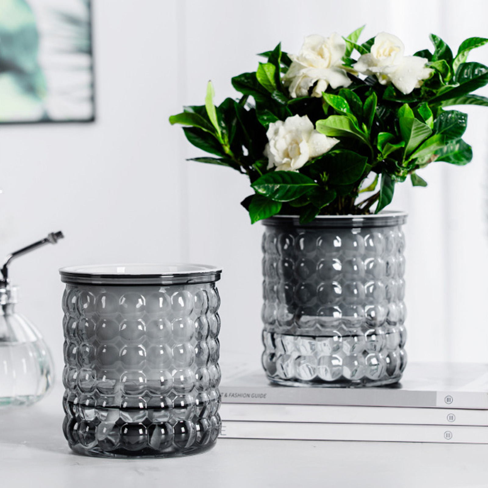 New Self Watering Hydroponic P - Tissue Culture Plant 评论和价格