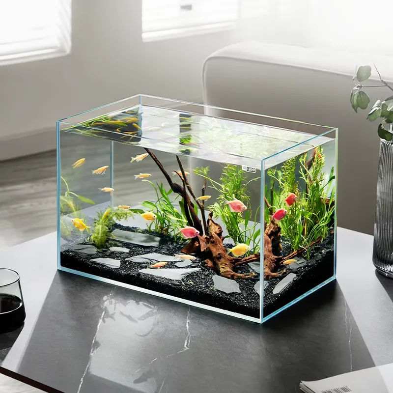 YEE Factory Wholesale ultra cl - Aquarium Plant Factory 评论和价格