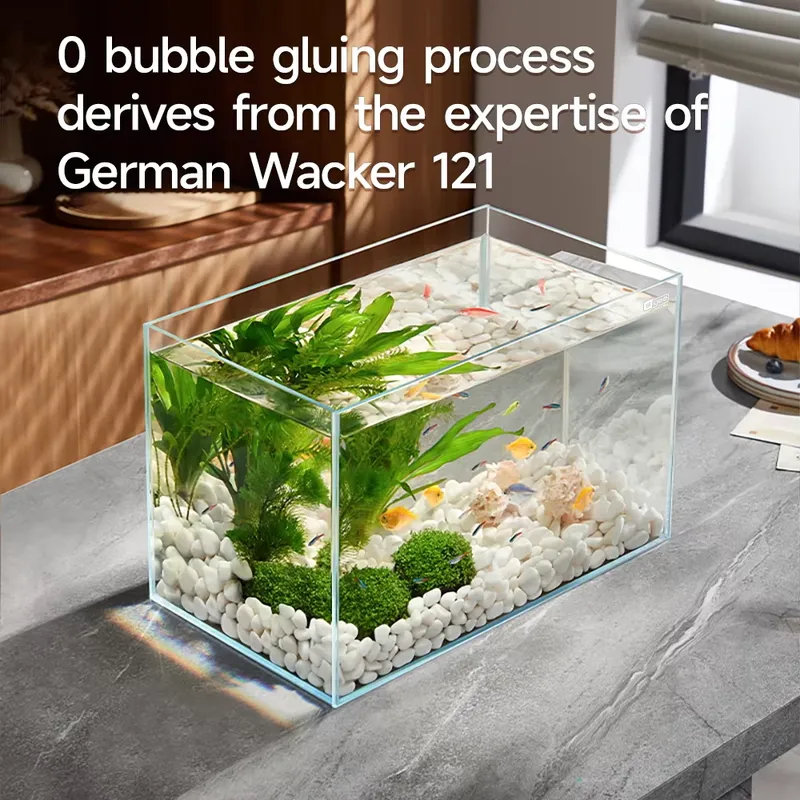 YEE Factory Wholesale ultra cl - Aquarium Plant Factory 评论和价格