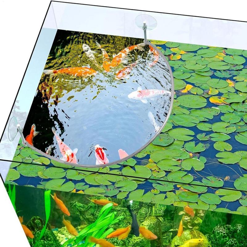 Floating Plant Corral Fish Fee - Aquarium Plant Order 评论和价格