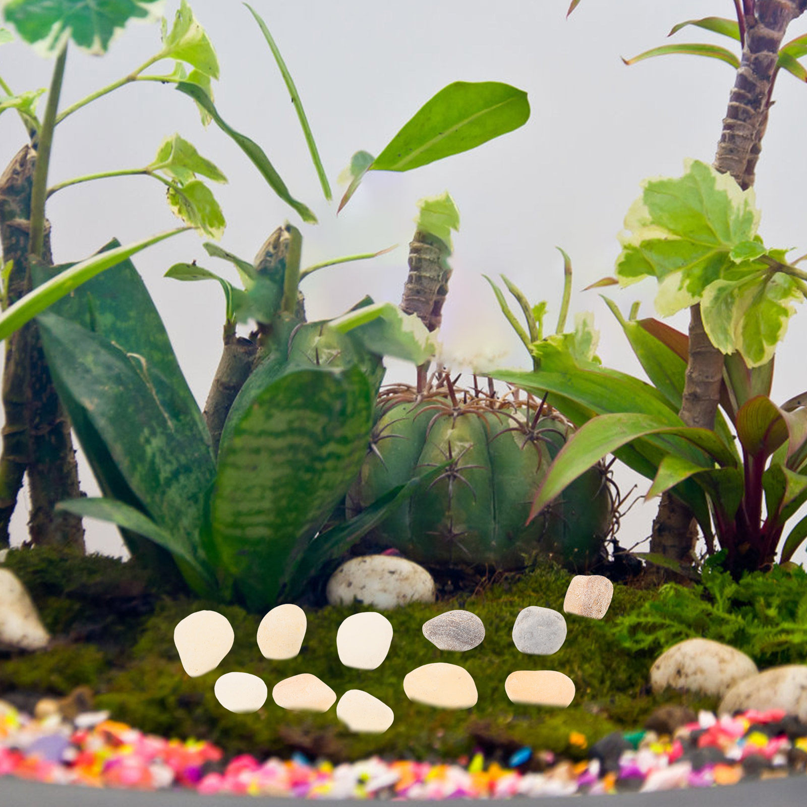 Natural Landscaping Pebbles Aq - Planted Aquarium With Gravel 评论和价格