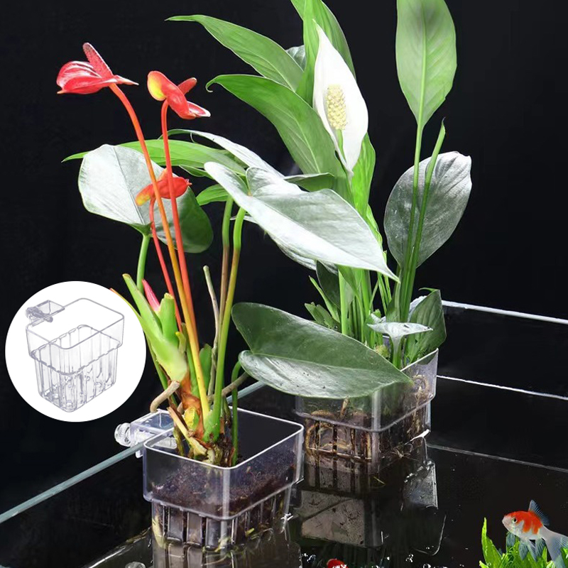 Multifunctional Fish Aquarium  - Aquarium Planted Tank 评论和价格
