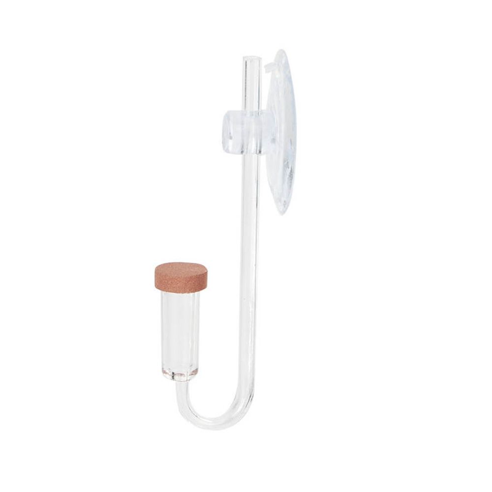 Acrylic Mini Fish Tank Live Pl - Aquarium Plant Order 评论和价格